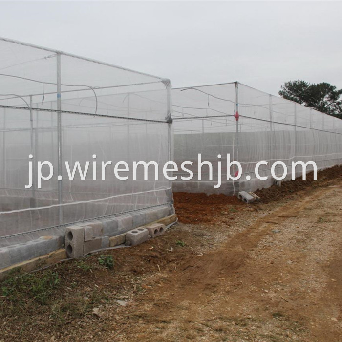 Fine Insect Mesh Netting